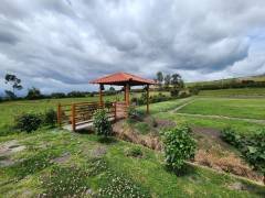 IMG-20230905-WA0060