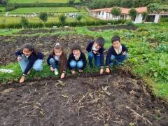 IMG-20240430-WA0067